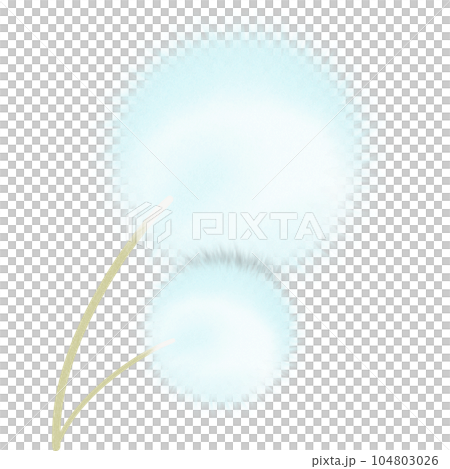 Flower 104803026