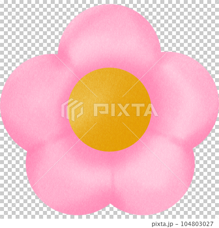Flower 104803027