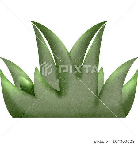 Grass Grass 104803028