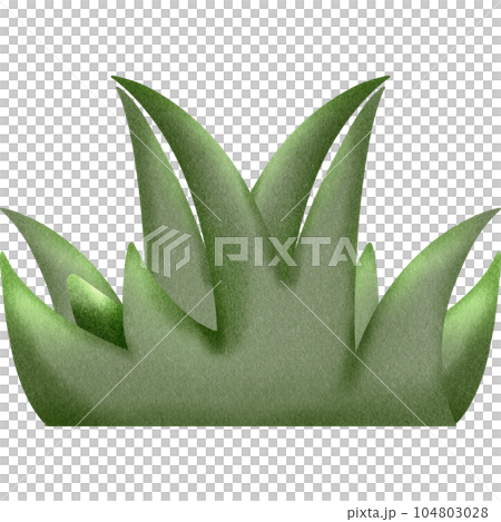 Grass Grass 104803028