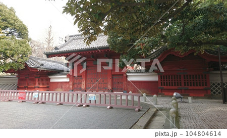 東大赤門 東大赤門 104804614