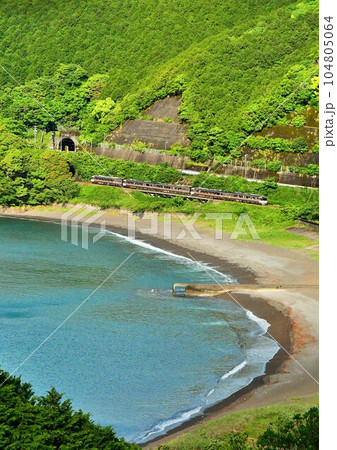 朝の浜を行く行く 朝の浜を行く行く 104805064