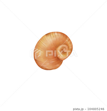 Drawings portraying enchanting and colorful shell landscapes, where shells are transformed into elements Drawings portraying enchanting and colorful shell landscapes, where shells are transformed into elements 104805246