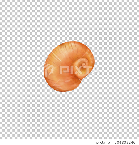 Drawings portraying enchanting and colorful shell landscapes, where shells are transformed into elements Drawings portraying enchanting and colorful shell landscapes, where shells are transformed into elements 104805246