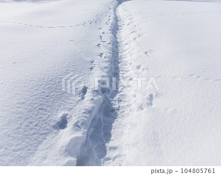 雪原に足跡で踏み固められた道 104805761