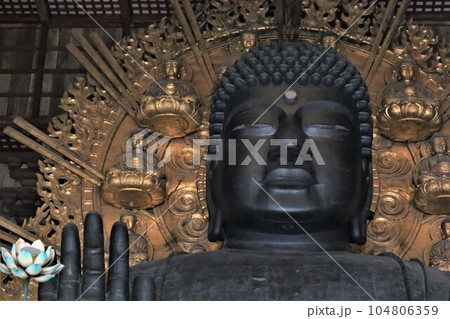 東大寺盧舎那仏像（奈良県奈良市） 104806359