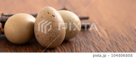 卵 たまご 玉子 104806808