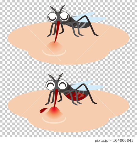 吸血的蚊子 104806843