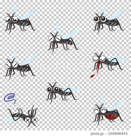 Mosquito expression set 1 104806845