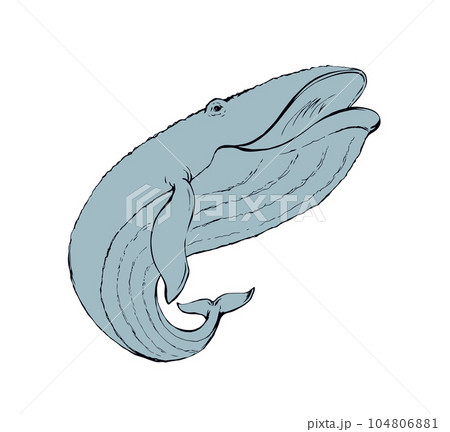 Vector drawing. Whale swims in the sea 104806881