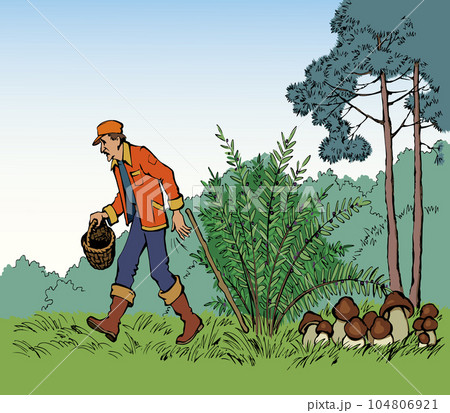 Vector drawing. Man picking mushrooms in the forest 104806921