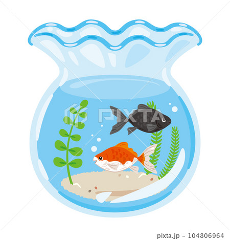 金魚と金魚鉢 金魚と金魚鉢 104806964