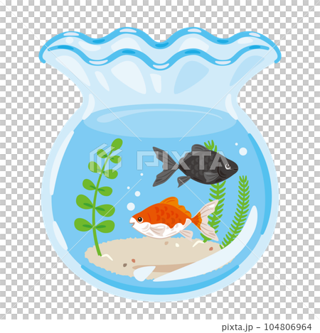 金魚と金魚鉢 金魚と金魚鉢 104806964