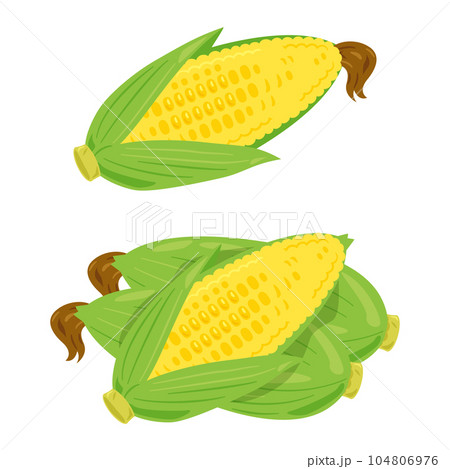 とうもろこしセットのイラスト素材 [104806976] - PIXTA