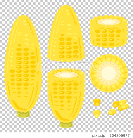 とうもろこし 104806977