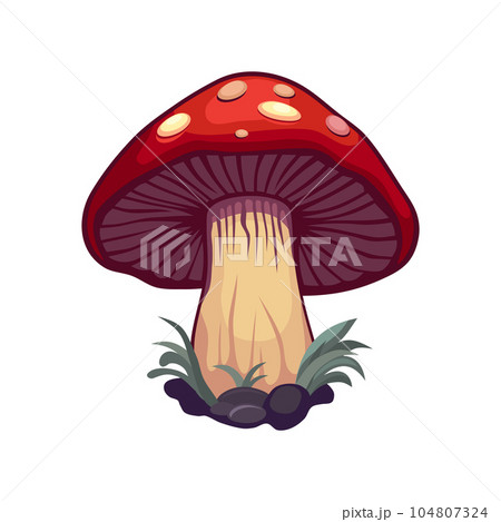 Forest Mushroom with a Green Grass on White Background. Vector 104807324