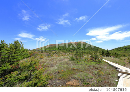 磐梯吾妻スカイライン　浄土平湿原散策／福島県福島市 104807656