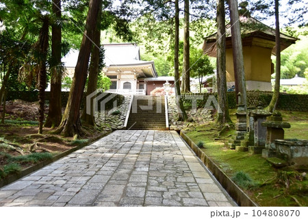 町田市　大泉寺参道と本堂と新緑 104808070