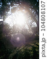 逆光とゴースト 104808107