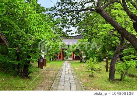 新潟県上越市の五智国分寺 104808109