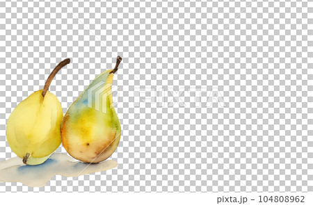 水彩で描いた洋梨のイラスト Generative AI 104808962