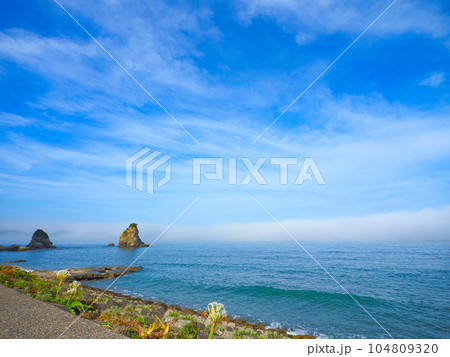 7月の千葉内房富浦の夏待ちの風景 7月の千葉内房富浦の夏待ちの風景 104809320
