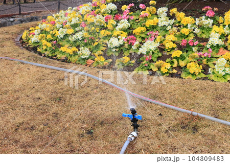花壇の水やり　自動散水機 104809483