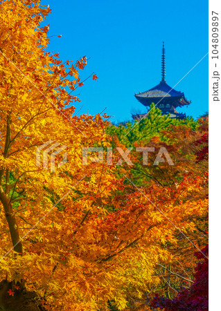 紅葉と五重塔のイメージ 紅葉と五重塔のイメージ 104809897