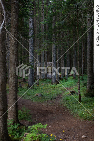 An old and very mysterious wooden house in a dense dark forest. Trekking, travel, vacation. 104810965