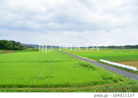 雨模様の肥薩おれんじ鉄道、薩摩大川駅から出水駅までの車窓風景(2022年) 雨模様の肥薩おれんじ鉄道、薩摩大川駅から出水駅までの車窓風景(2022年) 104811137