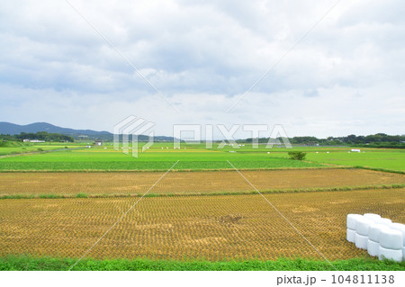 雨模様の肥薩おれんじ鉄道、薩摩大川駅から出水駅までの車窓風景(2022年) 104811138
