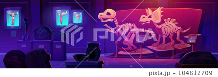 Fossil dinosaur skeleton in history museum cartoon Fossil dinosaur skeleton in history museum cartoon 104812709