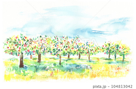 水彩で描いたりんご畑の風景イラスト 104813042