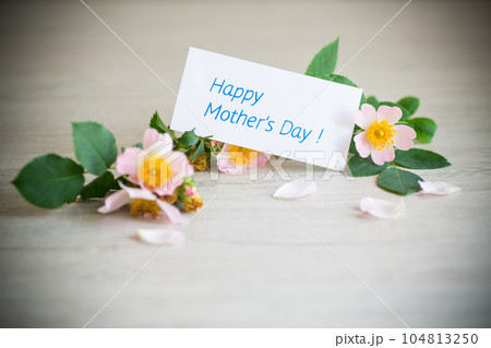 beautiful pink small roses on a wooden table. 104813250