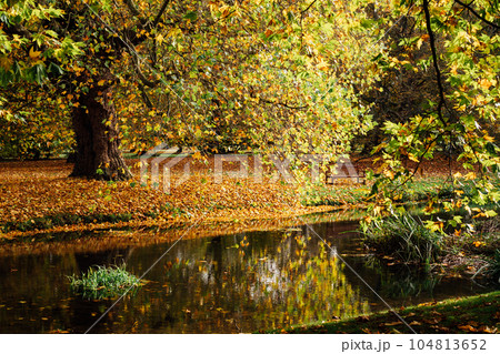 Beautiful colorful autumn nature background. Beautiful autumn landscape with yellow trees around the river and in water reflection and bench on the other bank in a city park. Selective focus. Beautiful colorful autumn nature background. Beautiful autumn landscape with yellow trees around the river and in water reflection and bench on the other bank in a city park. Selective focus. 104813652