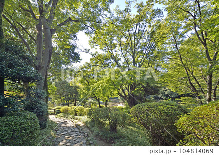 有栖川宮記念公園 有栖川宮記念公園 104814069