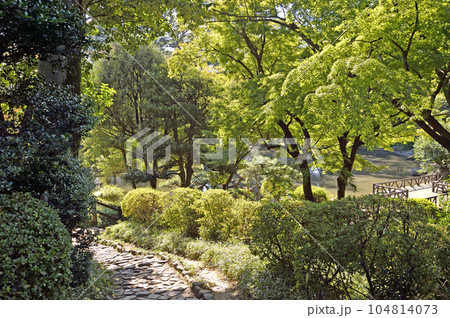有栖川宮記念公園 104814073