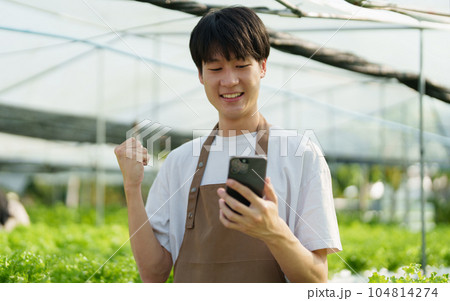 A farmer uses a phone to look at orders from customers, showing joy at harvesting vegetables from hydroponic farms. organic fresh vegetables Farmer working on a hydroponic vegetable garden A farmer uses a phone to look at orders from customers, showing joy at harvesting vegetables from hydroponic farms. organic fresh vegetables Farmer working on a hydroponic vegetable garden 104814274
