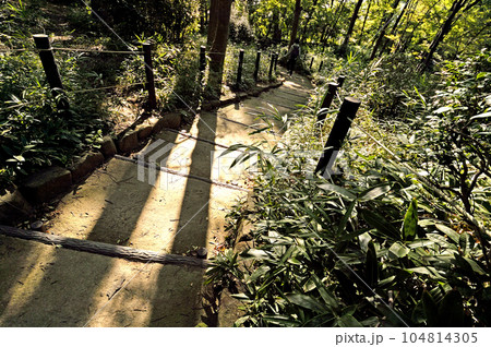 有栖川宮記念公園 有栖川宮記念公園 104814305