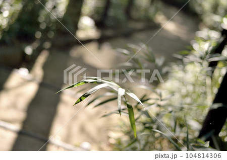 有栖川宮記念公園 有栖川宮記念公園 104814306