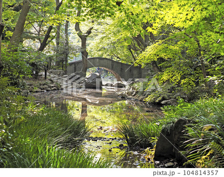 有栖川宮記念公園 有栖川宮記念公園 104814357
