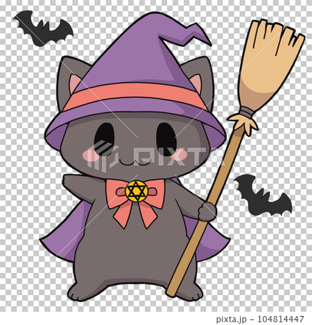 witch cat 104814447