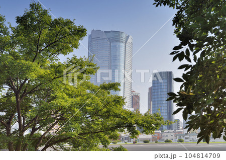 都立青山公園 都立青山公園 104814709