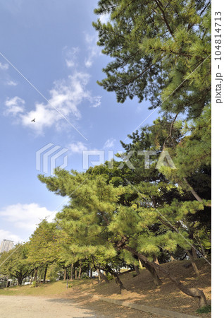 都立青山公園 104814713