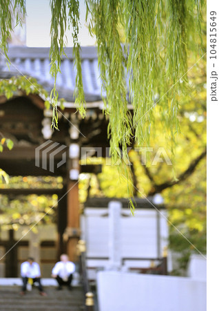 麻布山 善福寺 104815649