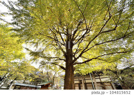 麻布山 善福寺 麻布山 善福寺 104815652