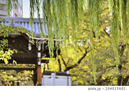 麻布山 善福寺 104815681