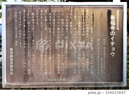 麻布山善福寺 104815697