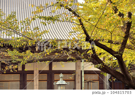 麻布山善福寺 104815703