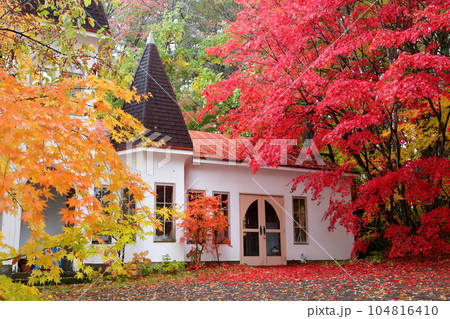色鮮やかに染まった樹々とおしゃれな建物 104816410